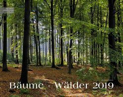 Bäume-Wälder 2019 von Linnemann Verlag, Schubotz,  Martin