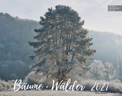 Bäume-Wälder 2021 von Linnemann Verlag