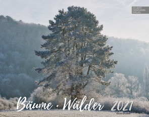 Bäume-Wälder 2021 von Linnemann Verlag