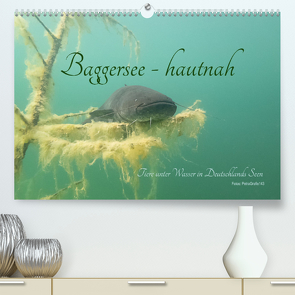 Baggersee -hautah (Premium, hochwertiger DIN A2 Wandkalender 2022, Kunstdruck in Hochglanz) von Geistler,  Petra