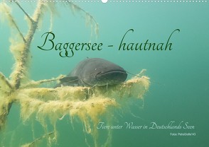 Baggersee -hautah (Wandkalender 2022 DIN A2 quer) von Geistler,  Petra