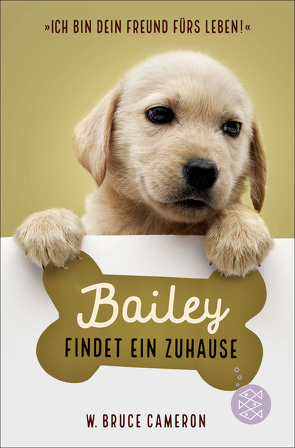 Bailey findet ein Zuhause von Cameron,  W. Bruce, Schuhmacher,  Naemi