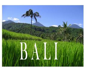 Bali – Ein Bildband von Matthews,  Bart