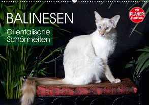 Balinesen – Orientalische Schönheiten (Wandkalender 2019 DIN A2 quer) von Scholze,  Verena