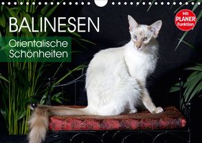 Balinesen – Orientalische Schönheiten (Wandkalender 2020 DIN A4 quer) von Scholze,  Verena