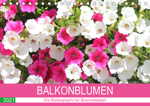 Balkonblumen. Die Blütenpracht für Blumenkästen (Tischkalender 2021 DIN A5 quer) von Hurley,  Rose