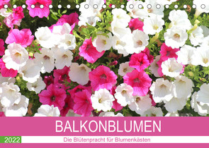 Balkonblumen. Die Blütenpracht für Blumenkästen (Tischkalender 2022 DIN A5 quer) von Hurley,  Rose