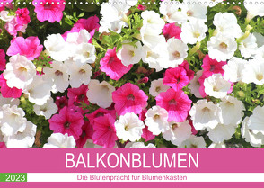 Balkonblumen. Die Blütenpracht für Blumenkästen (Wandkalender 2023 DIN A3 quer) von Hurley,  Rose