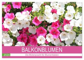 Balkonblumen. Die Blütenpracht für Blumenkästen (Wandkalender 2024 DIN A3 quer), CALVENDO Monatskalender von Hurley,  Rose