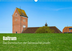 Baltrum – Das Dornröschen der Ostfriesischen Inseln (Wandkalender 2023 DIN A3 quer) von Kalytta,  Ralf