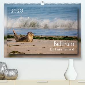 Baltrum – Ein Tag am Strand (Premium, hochwertiger DIN A2 Wandkalender 2023, Kunstdruck in Hochglanz) von Heizmann bildkunschd,  Thomas