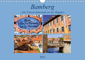 Bamberg – Alte Universitätsstadt an der Regnitz (Wandkalender 2021 DIN A4 quer) von Thauwald,  Pia