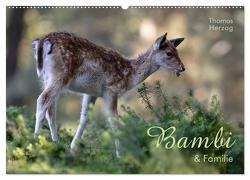 BAMBI & Familie (Wandkalender 2024 DIN A2 quer), CALVENDO Monatskalender von Herzog,  www.bild-erzaehler.com,  Thomas