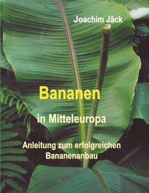 Bananen in Mitteleuropa von Jäck,  Joachim