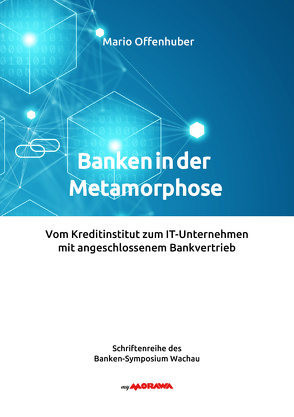 Banken in der Metamorphose von Offenhuber,  Mario