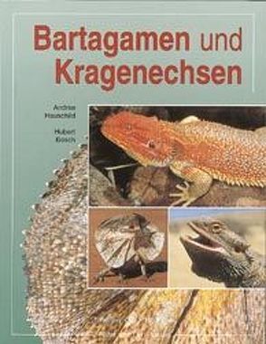 Bartagamen und Kragenechsen von Bosch,  Hubert, Hauschild,  Andree