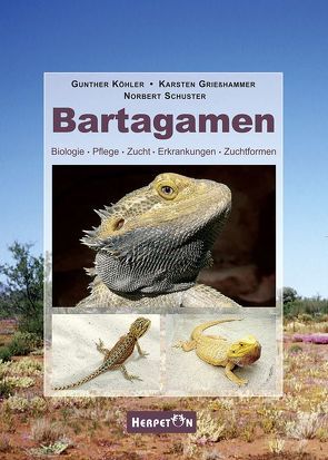 Bartagamen von Grießhammer,  Karsten, Köhler,  Gunther, Schuster,  Norbert