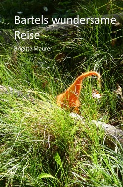 Bartels wundersame Reise von Maurer,  Brigitte