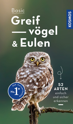 Basic Greifvögel und Eulen von Dierschke,  Volker