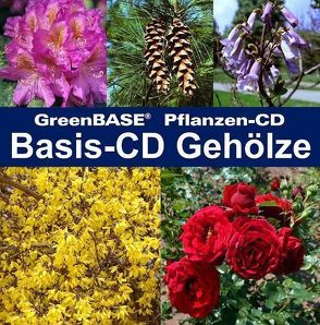 Basis-CD Gehölze von Müller,  Hans R, Röhn,  Gerhard, Tischer,  Jens