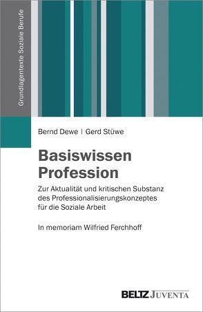 Basiswissen Profession von Dewe,  Bernd, Stüwe,  Gerd