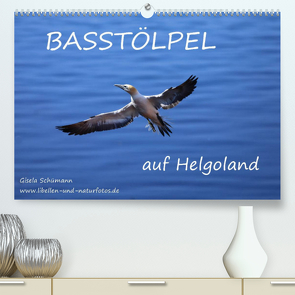 Basstölpel auf Helgoland (Premium, hochwertiger DIN A2 Wandkalender 2022, Kunstdruck in Hochglanz) von Schuemann,  Gisela