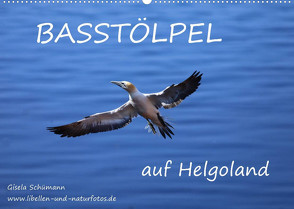 Basstölpel auf Helgoland (Wandkalender 2022 DIN A2 quer) von Schuemann,  Gisela