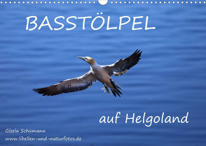 Basstölpel auf Helgoland (Wandkalender 2022 DIN A3 quer) von Schuemann,  Gisela