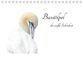 Basstölpel, die weiße Schönheit (Tischkalender 2018 DIN A5 quer) von Fornal,  Martina