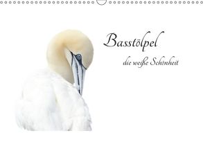 Basstölpel, die weiße Schönheit (Wandkalender 2019 DIN A3 quer) von Fornal,  Martina