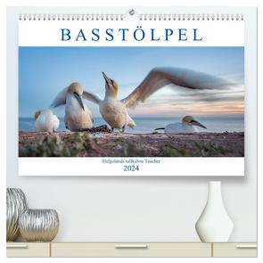 Basstölpel – Helgolands tollkühne Taucher (hochwertiger Premium Wandkalender 2024 DIN A2 quer), Kunstdruck in Hochglanz von Preißler,  Norman