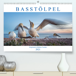 Basstölpel – Helgolands tollkühne Taucher (Premium, hochwertiger DIN A2 Wandkalender 2021, Kunstdruck in Hochglanz) von Preißler,  Norman