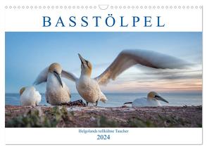 Basstölpel – Helgolands tollkühne Taucher (Wandkalender 2024 DIN A3 quer), CALVENDO Monatskalender von Preißler,  Norman