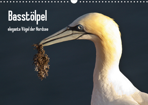 Basstölpel (Wandkalender 2021 DIN A3 quer) von Uppena,  Leon