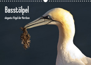 Basstölpel (Wandkalender 2022 DIN A3 quer) von Uppena,  Leon