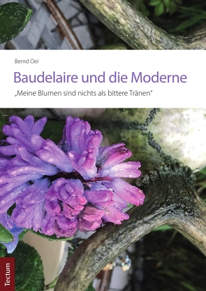 Baudelaire und die Moderne von Oei,  Bernd