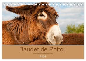 Baudet de Poitou – Seltene französische Langohren (Tischkalender 2024 DIN A5 quer), CALVENDO Monatskalender von Bölts,  Meike