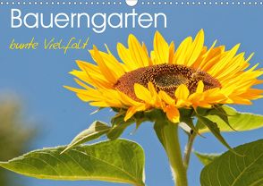 Bauerngarten – bunte Vielfalt (Wandkalender 2020 DIN A3 quer) von Bölts,  Meike
