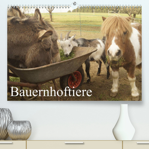 Bauernhoftiere (Premium, hochwertiger DIN A2 Wandkalender 2023, Kunstdruck in Hochglanz) von Gsödl,  Michael