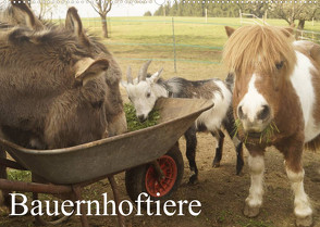 Bauernhoftiere (Wandkalender 2023 DIN A2 quer) von Gsödl,  Michael
