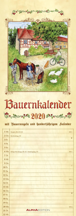 Bauernkalender 2020 – Streifenkalender (15 x 42) – mit 100-jährigem Kalender und Bauernregeln – Streifenplaner – Wandplaner – Küchenkalender von ALPHA EDITION