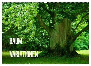 Baum-Variationen (Wandkalender 2024 DIN A2 quer), CALVENDO Monatskalender von Barig,  Joachim