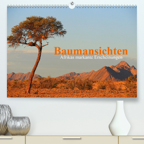 Baumansichten – Afrikas markante Erscheinungen (Premium, hochwertiger DIN A2 Wandkalender 2020, Kunstdruck in Hochglanz) von Werner Altner,  Dr.