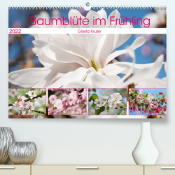 Baumblüte im Frühling (Premium, hochwertiger DIN A2 Wandkalender 2022, Kunstdruck in Hochglanz) von Kruse,  Gisela