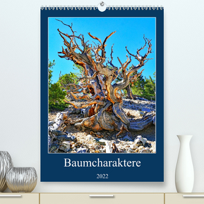 Baumcharaktere (Premium, hochwertiger DIN A2 Wandkalender 2022, Kunstdruck in Hochglanz) von Struve,  Andreas