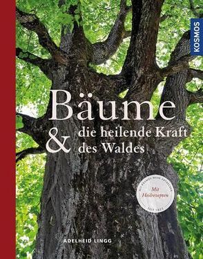 Bäume & die heilende Kraft des Waldes von Lingg,  Adelheid