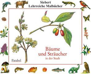 Bäume und Sträucher in der Stadt von Eigner,  Erwin, Etschmann,  Ina, Etschmann,  Walter
