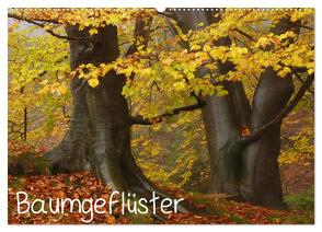Baumgeflüster (Wandkalender 2024 DIN A2 quer), CALVENDO Monatskalender von Wittbrock,  Uwe