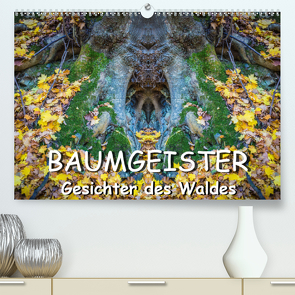 Baumgeister, Gesichter des Waldes (Premium, hochwertiger DIN A2 Wandkalender 2021, Kunstdruck in Hochglanz) von Döring,  Jürgen