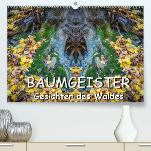 Baumgeister, Gesichter des Waldes (Premium, hochwertiger DIN A2 Wandkalender 2022, Kunstdruck in Hochglanz) von Döring,  Jürgen